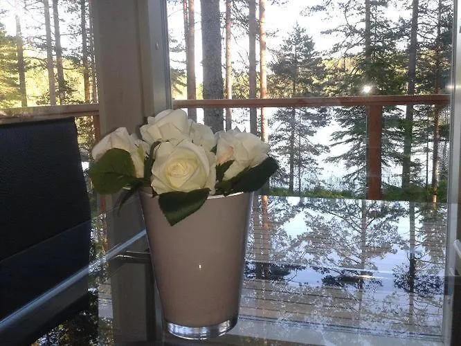 派哈雅文度假屋 * Ruolahti (Kuhmoinen)